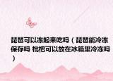 琵琶可以冻起来吃吗（琵琶能冷冻保存吗 枇杷可以放在冰箱里冷冻吗）