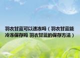 羽衣甘蓝可以速冻吗（羽衣甘蓝能冷冻保存吗 羽衣甘蓝的保存方法）