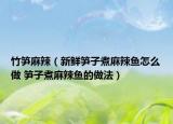 竹笋麻辣（新鲜笋子煮麻辣鱼怎么做 笋子煮麻辣鱼的做法）