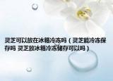 灵芝可以放在冰箱冷冻吗（灵芝能冷冻保存吗 灵芝放冰箱冷冻储存可以吗）
