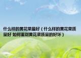 什么样的黄花菜最好（什么样的黄花菜质量好 如何鉴别黄花菜质量的好坏）