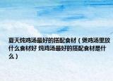 夏天炖鸡汤最好的搭配食材（煲鸡汤里放什么食材好 炖鸡汤最好的搭配食材是什么）