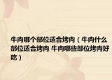 牛肉哪个部位适合烤肉（牛肉什么部位适合烤肉 牛肉哪些部位烤肉好吃）