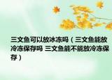 三文鱼可以放冰冻吗（三文鱼能放冷冻保存吗 三文鱼能不能放冷冻保存）