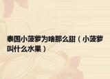 泰国小菠萝为啥那么甜（小菠萝叫什么水果）