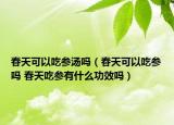 春天可以吃参汤吗（春天可以吃参吗 春天吃参有什么功效吗）