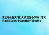清远海伦春天可以入读富强小学吗（春天的笋可以吃吗 春天的笋能不能食用）