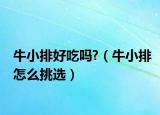 牛小排好吃吗?（牛小排怎么挑选）