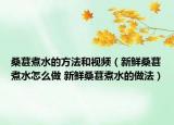 桑葚煮水的方法和视频（新鲜桑葚煮水怎么做 新鲜桑葚煮水的做法）
