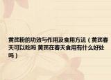 黄芪粉的功效与作用及食用方法（黄芪春天可以吃吗 黄芪在春天食用有什么好处吗）