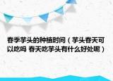 春季芋头的种植时间（芋头春天可以吃吗 春天吃芋头有什么好处呢）