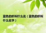 蓝色的虾叫什么名（蓝色的虾叫什么名字）