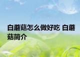 白蘑菇怎么做好吃 白蘑菇简介
