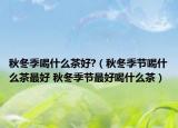 秋冬季喝什么茶好?（秋冬季节喝什么茶最好 秋冬季节最好喝什么茶）