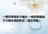 一根甘蔗有多少糖分 一根甘蔗相当于几碗米饭的热量（图文攻略）