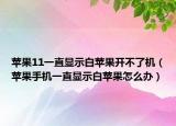 苹果11一直显示白苹果开不了机（苹果手机一直显示白苹果怎么办）