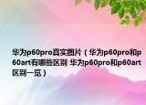 华为p60pro真实图片（华为p60pro和p60art有哪些区别 华为p60pro和p60art区别一览）