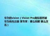 华为的vision（Vision Pro商标居然被华为抢先注册 某专家：要么和解 要么改名）