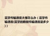 蓝牙传输速度太慢怎么办（蓝牙传输速度(蓝牙的数据传输速度是多少)）