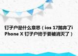 钉子户是什么意思（ios 17抛弃了iPhone X 钉子户终于要被消灭了）