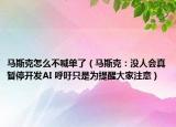 马斯克怎么不喊单了（马斯克：没人会真暂停开发AI 呼吁只是为提醒大家注意）