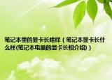 笔记本里的显卡长啥样（笔记本显卡长什么样(笔记本电脑的显卡长相介绍)）