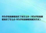 华为手机锁屏密码忘了该怎么办（华为手机锁屏密码忘了怎么办 华为手机锁屏密码解决方式）