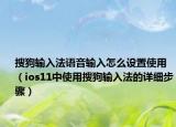 搜狗输入法语音输入怎么设置使用（ios11中使用搜狗输入法的详细步骤）