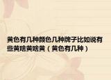 黄色有几种颜色几种牌子比如说有些黄啥黄啥黄（黄色有几种）