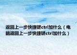 返回上一步快捷键ctrl加什么（电脑返回上一步快捷键ctrl加什么）