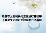 电脑怎么强制关闭正在运行的程序（苹果关闭运行的应用的方法教程）