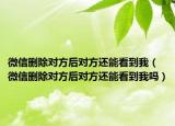 微信删除对方后对方还能看到我（微信删除对方后对方还能看到我吗）