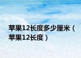 苹果12长度多少厘米（苹果12长度）
