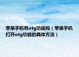 苹果手机有otg功能吗（苹果手机打开otg功能的具体方法）