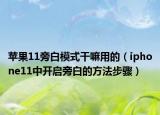 苹果11旁白模式干嘛用的（iphone11中开启旁白的方法步骤）
