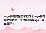 csgo开箱网站茄子推荐（csgo开箱网站免费抽一次是真的吗csgo开箱在哪开）