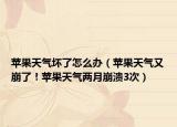 苹果天气坏了怎么办（苹果天气又崩了！苹果天气两月崩溃3次）