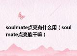 soulmate点亮有什么用（soulmate点亮能干嘛）