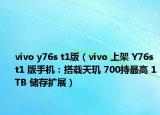 vivo y76s t1版（vivo 上架 Y76s t1 版手机：搭载天玑 700持最高 1TB 储存扩展）
