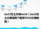 ios12怎么升级ios14（ios14怎么分屏用两个程序iOS14分屏教程）