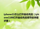 iphone11怎么打开自动亮度（iphone11中打开自动亮度调节的详细步骤）