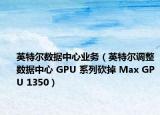 英特尔数据中心业务（英特尔调整数据中心 GPU 系列砍掉 Max GPU 1350）