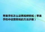 苹果手机怎么设置视频壁纸（苹果手机中设置壁纸的方法步骤）