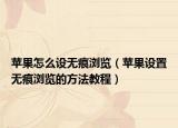 苹果怎么设无痕浏览（苹果设置无痕浏览的方法教程）
