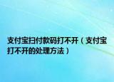 支付宝扫付款码打不开（支付宝打不开的处理方法）