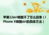 苹果12siri唤醒不了怎么回事（iPhone X唤醒siri的具体方法）