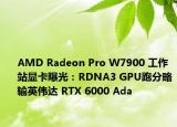 AMD Radeon Pro W7900 工作站显卡曝光：RDNA3 GPU跑分略输英伟达 RTX 6000 Ada