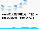 excel怎么整列除以同一个数（excel怎样设置一列除法公式）
