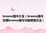 breeno指令大全（breeno指令在哪breeno指令功能使用方法）