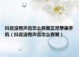 抖音没有声音怎么恢复正常苹果手机（抖音没有声音怎么恢复）
